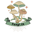 fungi.lk